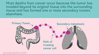 Hallmarks of Cancer Activating Invasion And Metastasis Loop [upl. by Yoko]