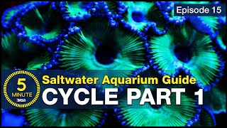 Cycle your saltwater aquarium Step 1 A new reefers guide to ammonia and the nitrogen cycle [upl. by Derej551]