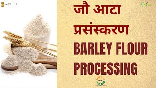 BARLEY FLOUR PROCESSING I जौ आटा प्रसंस्करण I NIFTEM PMFME SCHEME [upl. by Naliorf]