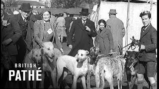 Irish Kennel Club Dog Show 1940 [upl. by Frech]