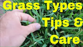 Bermuda Centipede Zoysia and St Augustine Grass Identification and Care [upl. by Areivax491]