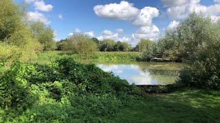 Parsons Pleasure and the University Parks Oxford September 4th 2024 [upl. by Laaspere]