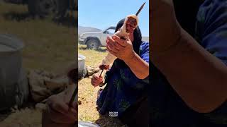 Traditional Bakhtiari Nomads Gathering villagelife cooking nature food [upl. by Mathi]