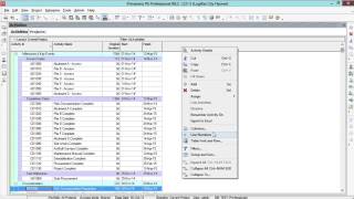 Primavera P6  Activity Codes [upl. by Thisbee817]
