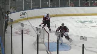 HIGHLIGHTS Stockton Heat vs Tucson Roadrunners October 15 2021 [upl. by Megen]