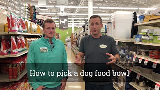 How to pick a food bowl for your dog [upl. by Norad452]