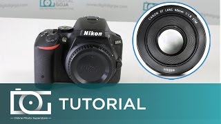 NIKON D5500 TUTORIAL  Can I Use Canon Lenses With This Camera [upl. by Haissi]