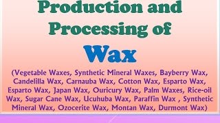 Production and Processing of Wax  Vegetable Waxes  Synthetic Mineral Waxes [upl. by Eckardt]