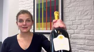 How to Read Champagne Labels Blanc de Blancs vs Blanc de Noirs [upl. by Burley321]