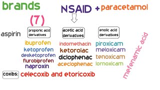 الحلقة السابعة من سلسلة براندات الأدوية المسكنات  NSAIDSPARACETAMOL [upl. by Marlin]