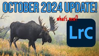 Lightroom Classic Update  Whats New in v140 October 2024 [upl. by Nosirrah337]