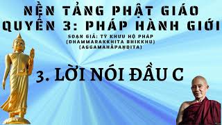 PHẦN 3  SÁCH NÓI PHÁP HÀNH GIỚI  TỲ KHƯU HỘ PHÁP  PHẬT GIÁO NGUYÊN THỦY THERAVADA [upl. by Dietsche]