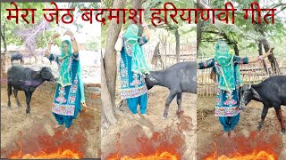 haryanvi bahu dance video [upl. by Eitra]