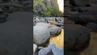 The narrows thenarrows zionnationalpark [upl. by Neryt546]