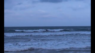 Lacanau Surf Report HD  Dimanche 17 Novembre  7H50 [upl. by Malinin540]