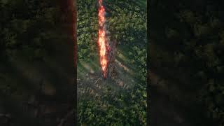 Bomber Fighter Jet Crashes into Dense Jungle [upl. by Admama579]