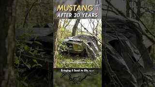 Part 11967 Ford Mustang abandoned for 28 years  Rescued and Restored [upl. by Joni]