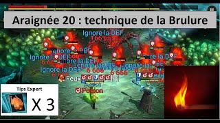 Comment réussir sa première araignée 20  Stratégie brûlure  EarlyGame  Raid Shadow Legends [upl. by Issy]