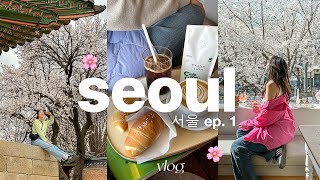 7 days in seoul 🌸 [upl. by Rubia17]