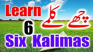 Six 6 Kalimas in Islam in Arabic English amp Urdu  Learn Six Kalimas  Beautiful Zikir amp Dua [upl. by Mcnalley]