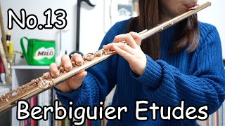 【ベルビギエ】Berbiguier 18 etudes No13 [upl. by Notnroht]