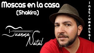 Moscas en la casa Shakira INSTRUMENTAL  Juanma Natal  Guitar  Cover  Lyrics [upl. by Katz]