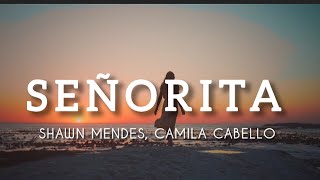 Shawn Mendes Camila Cabello  Señorita New Version [upl. by Wenda]