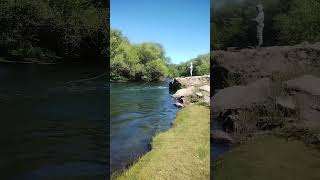 Pesca con mosca Patagonia Argentina fly fishing río Malleo fishing fish flypesca [upl. by Bibby]