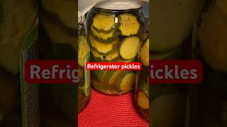 My 1st refrigerator pickles Thanks for watching everyone [upl. by Pontias]