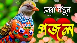 Bangla Gazal  Bangla Gojol  Islamic Gazal  Ghazal  New Bangla Gazal  islamic gojol  New Gojol [upl. by Ettinger]