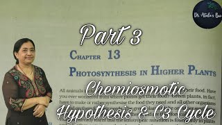 photosynthesis in higher plants  Part 3  Class 11 Biology  NCERT NEET [upl. by Assena122]