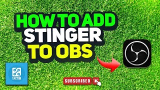 How to add stinger to obs 2024 [upl. by Anhsirk221]