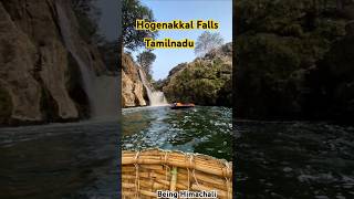 Hogenakkal Falls ytshorts trending nature relaxing hogenakkal music tamilnadu waterfall [upl. by Rocher]