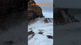 CAPE POINTSOUTH AFRICA capetown capepoint southafrica ytshorts nature viraltelugu [upl. by Navets]