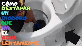 Cómo destapar un inodoro que va el agua lentamente [upl. by Justen]