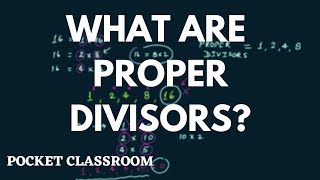 What Are Proper Divisors  Grade 6 [upl. by Engracia]