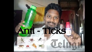 Ticks problem solution  Telugu  Butox [upl. by Asaret]