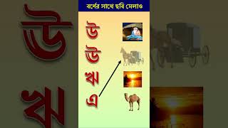 অ আ ই ঈ ছবিসহ [upl. by Aivuy]