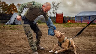 Ośrodek szkolenia  Edamentus K9 Training [upl. by Andrien802]