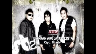 ST12  Biarkan Jatuh Cinta Official Music Video [upl. by Saltsman]