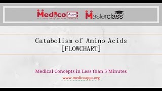 CATABOLISM OF AMINO ACIDS [upl. by Adaval119]