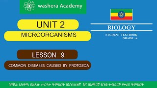 BIOLOGY GRADE 12 UNIT 2 LESSON 9 COMMON DISEASES CAUSED BY PROTOZOA [upl. by Rosenzweig136]