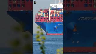 World biggest container ship 🤯ship shipvideo shorts facts youtubeshorts trending viralvideo [upl. by Stewardson]