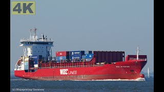 WEC DE HOOGH  Shipspotting Germany 🇩🇪 IMO 9315018  River Elbe near City Otterndorf  4K VIDEO [upl. by Noirad113]