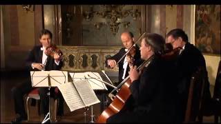 Schubert  Death and The Maiden Andante con Moto Movt 2  String quartet No14 in dminor [upl. by Culhert]