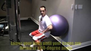 Stability Ball Squats [upl. by Leveridge]