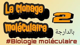 le clonage moléculaire PART II  بالعربية الدارجة [upl. by Mailiw192]