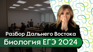 РАЗБОР ДАЛЬНЕГО ВОСТОКА ЕГЭ по БИОЛОГИИ 2024  Наталья Барашкова  BB school [upl. by Larrisa]