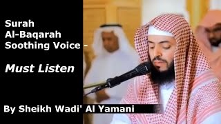 Surah AlBaqarah Recitation By Sheikh Wadi Al Yamani  Soothing Voice Must Listen Full Surah [upl. by Eberhard]