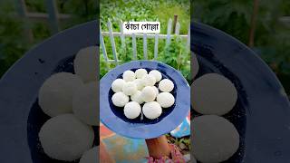 সবচেয়ে সহজ পদ্ধতিতে কাঁচা গোল্লার রেসিপি 😋🥰 Kacha Gulla Mishti Recipe [upl. by Werd446]